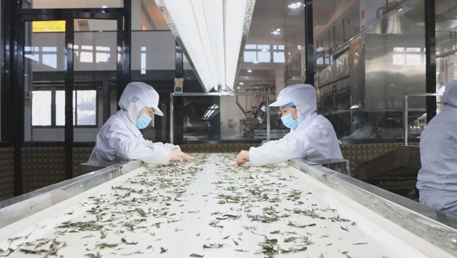 乐虎62349亿元同比增长71%！2025年福鼎经济交出亮眼“成绩单”(图3)