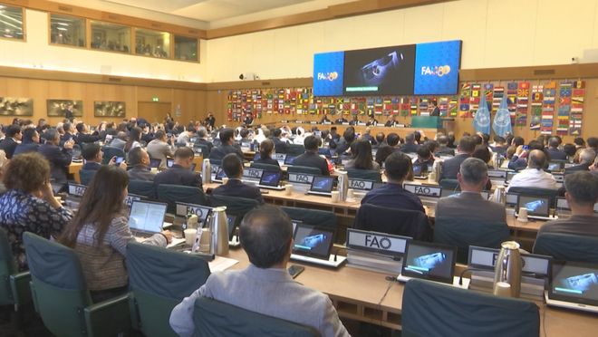 乐虎62349亿元同比增长71%！2025年福鼎经济交出亮眼“成绩单”(图2)